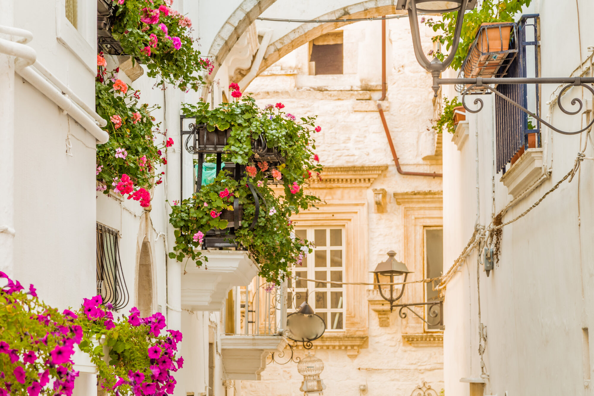 Viaggi organizzati in pullman