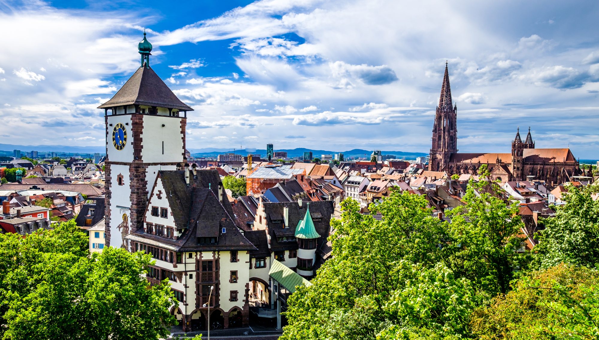 viaggi in pullman organizzati da bergamo friburgo