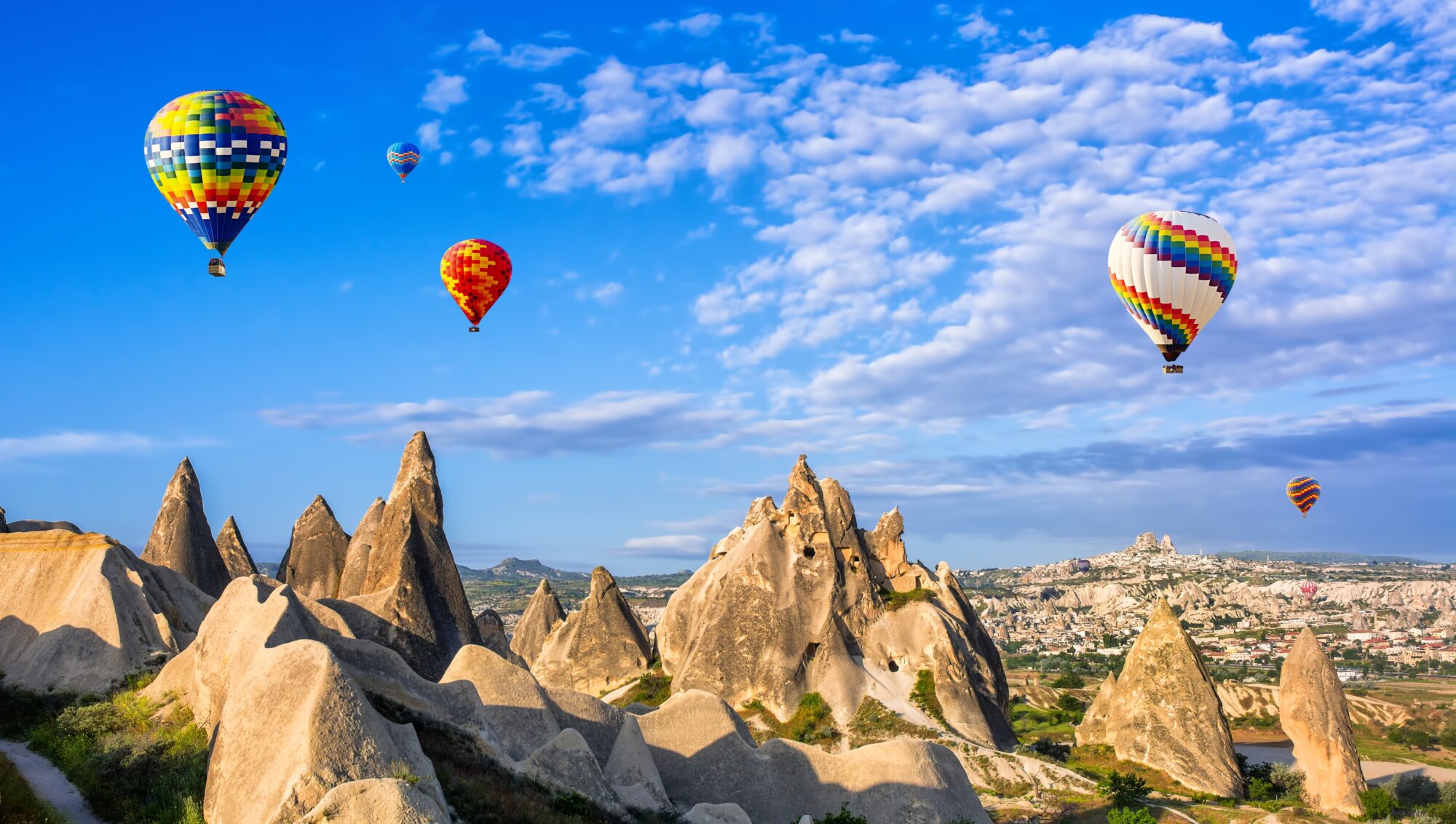 viaggi culturali organizzati