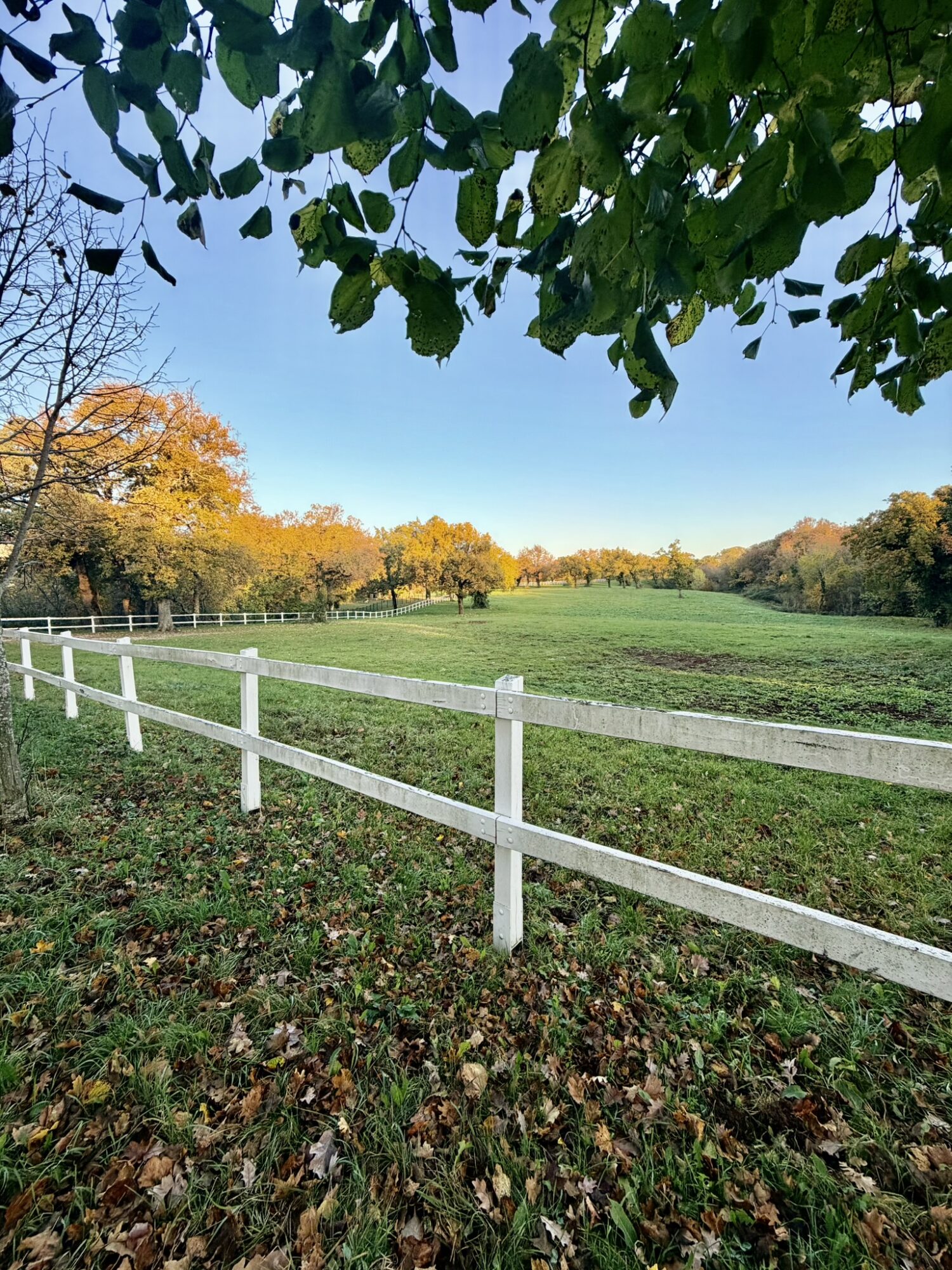 viaggi in pullman organizzati