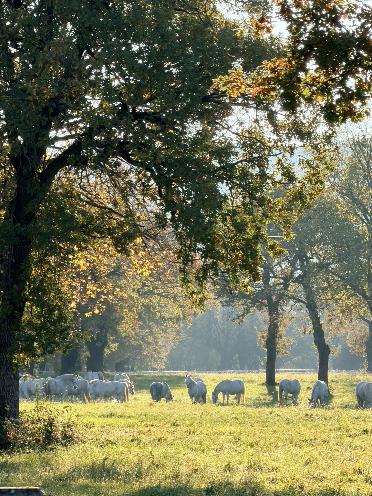 viaggi culturali in slovenia