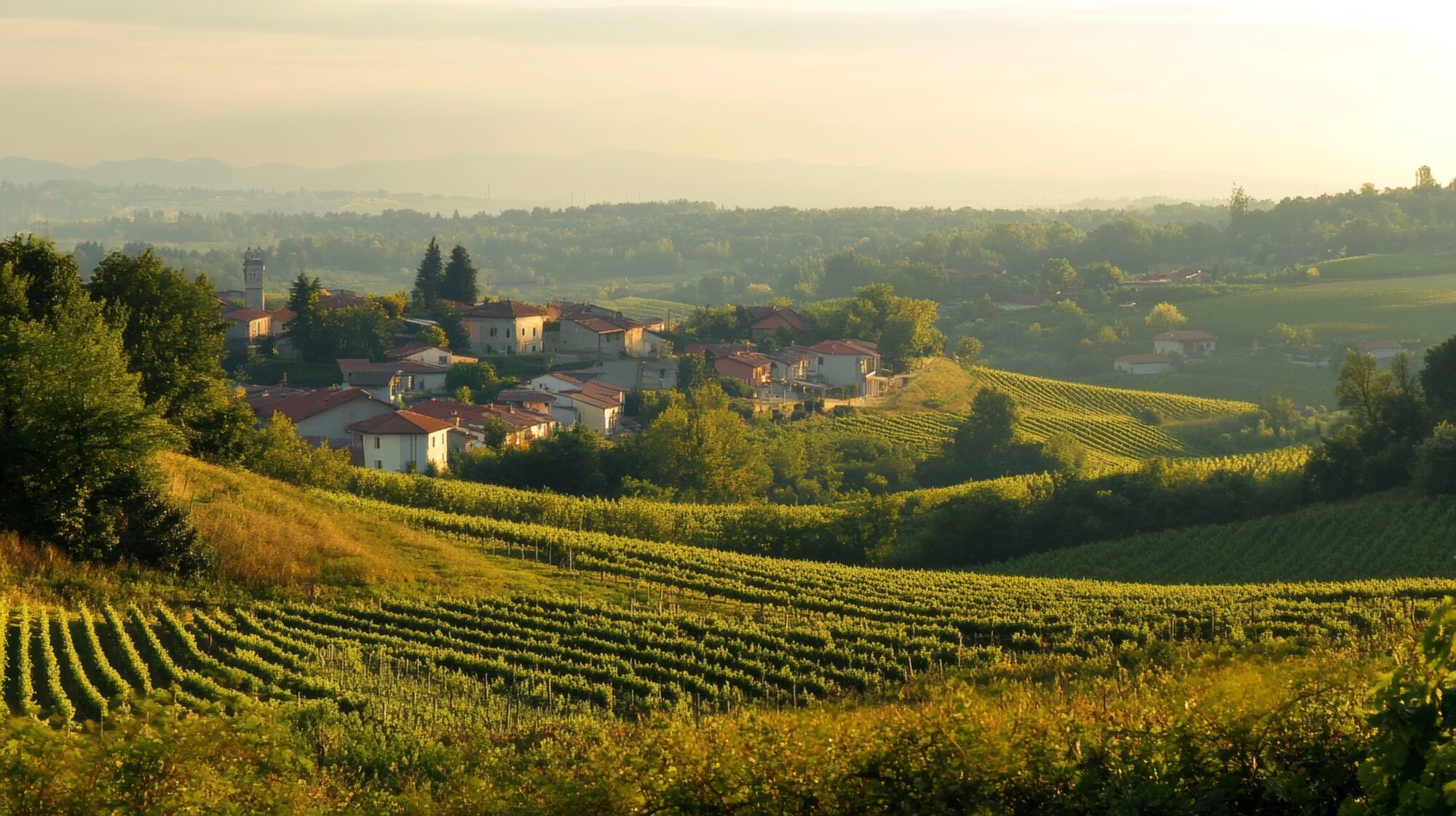 viaggi organizzati in pullman