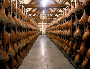 viaggi organizzati in pullman