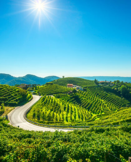 Vineyards and road. Prosecco Hills, Unesco Site. Valdobbiadene, Vineyards and road. Prosecco Hills, Unesco Site. Valdobbiadene,