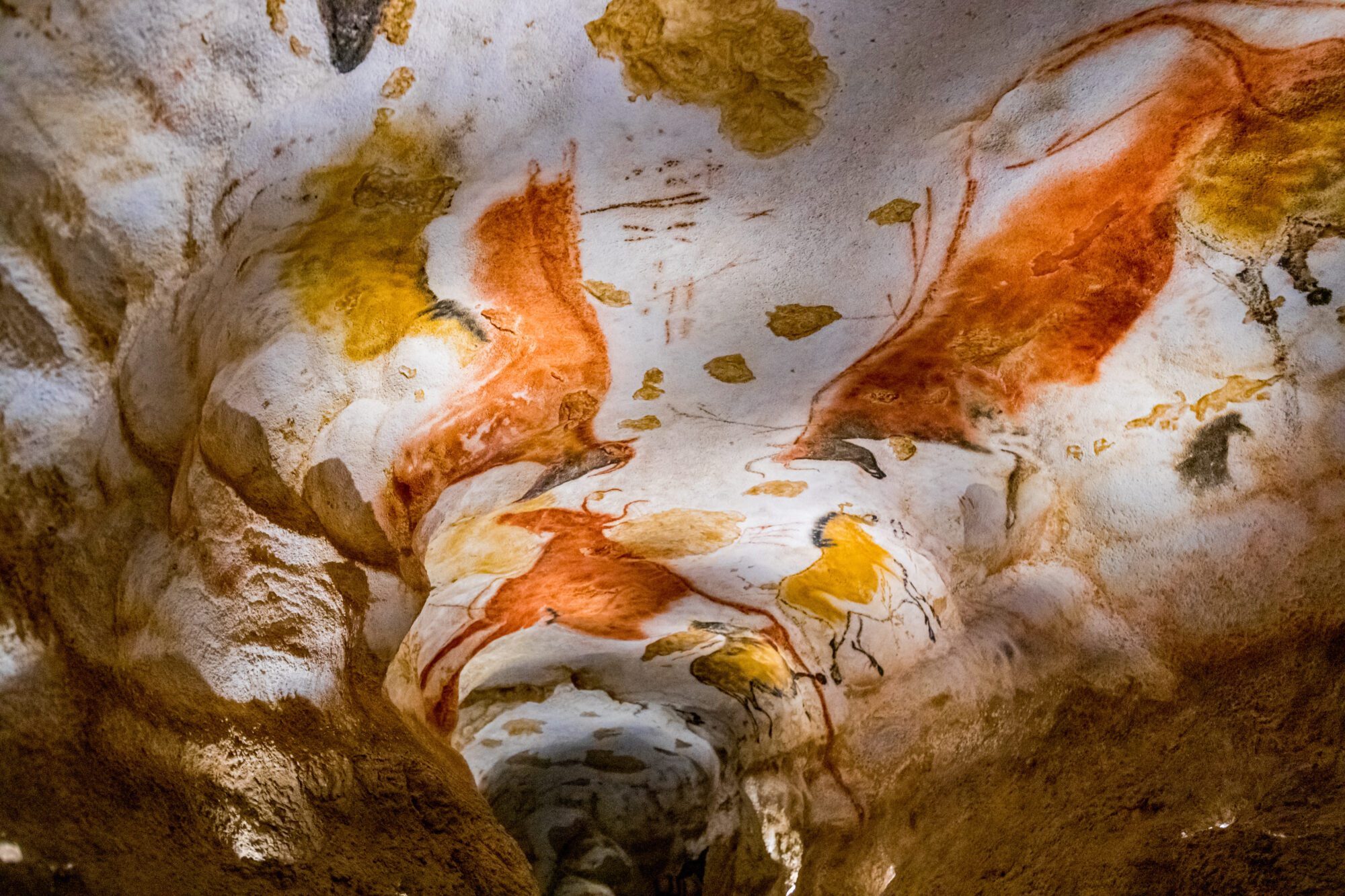 La Grotte de Lascaux IV La Grotte de Lascaux IV