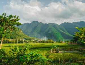 A cluster of home stay and local houses on a hillside between a green rice field and mountains, Mai Chau Valley, Vietnam, Southeast Asia.