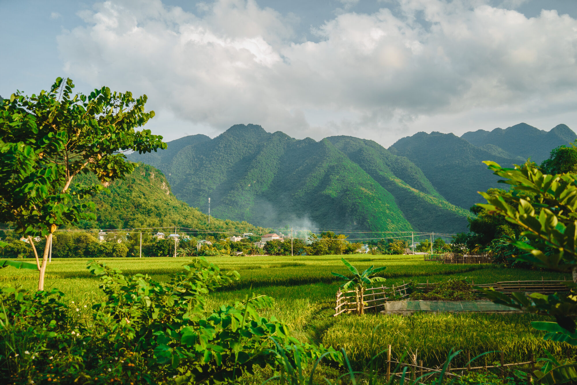 A cluster of home stay and local houses on a hillside between a green rice field and mountains, Mai Chau Valley, Vietnam, Southeast Asia.