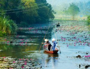 Yen stream on the way to Huong pagoda in autumn, Hanoi, Vietnam.