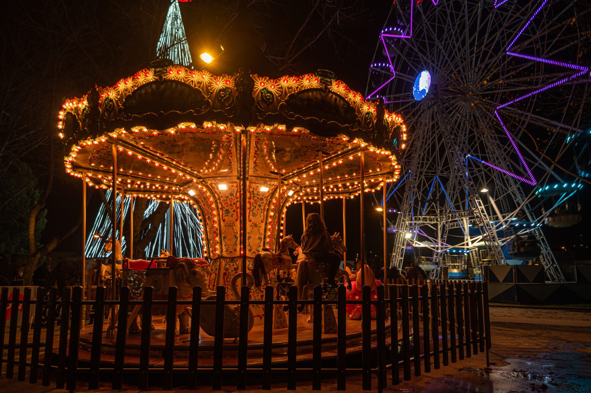 Fonte,Nova's,Garden,With,Christmas,Market,And,Colored,Ferris,Wheel tour organizzati Porto