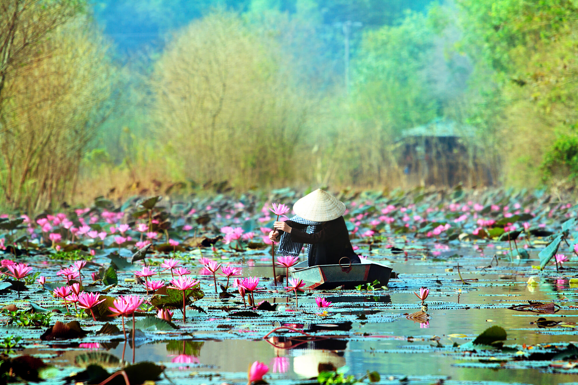 Yen,Stream,On,The,Way,To,Huong,Pagoda,In,Autumn, viaggi organizzati Vietnam