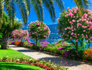 viaggi organizzati in pullman