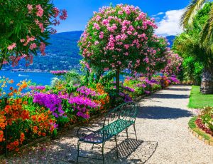 tour in pullman isole borromee