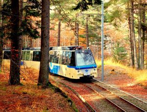 tour pullman domodossola foliage