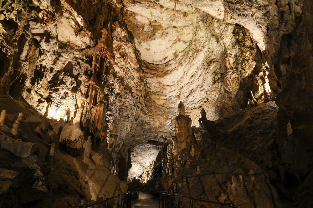 tour in pullman postumia