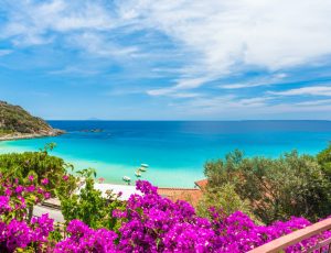 tour in pullman isola d'elba