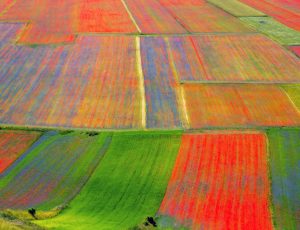 tour pullman castelluccio di norcia