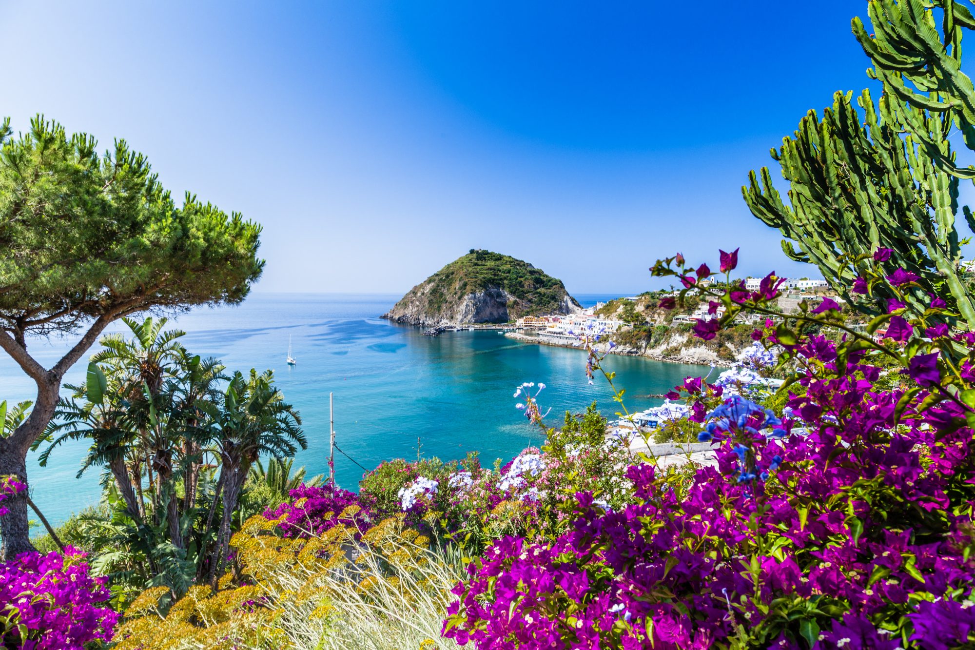 tour in pullman ischia