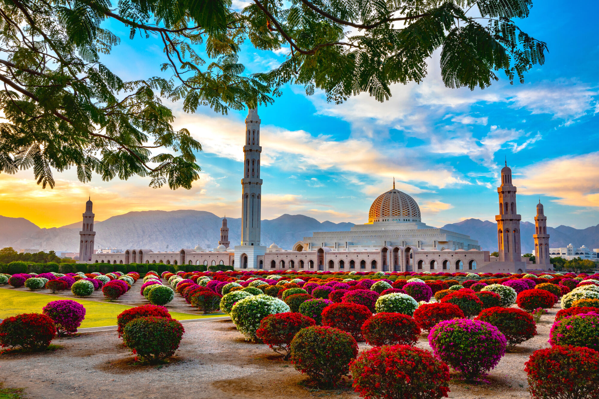 viaggi in pullman organizzati oman