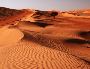 viaggi pullman organizzati oman