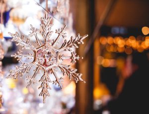 fiocco di neve viaggi pullman organizzati