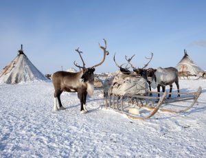 viaggi pullman organizzati