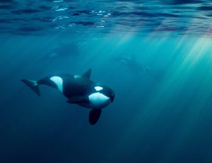 viaggi pullman organizzati