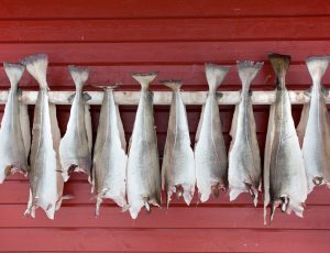 viaggi pullman organizzati