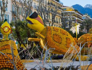 Tour in pullman Mentone limoni