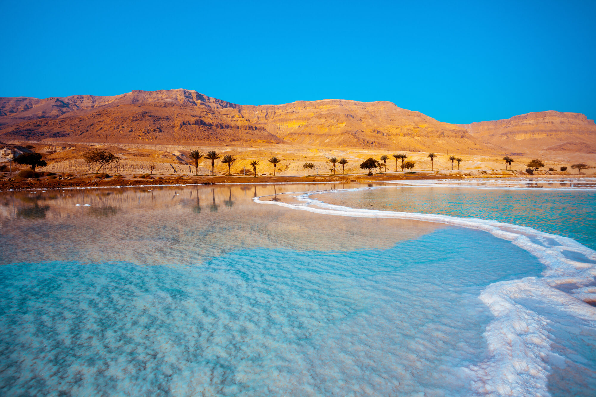 Dead Sea seashore with palm trees and mountains on background Dead Sea seashore with palm trees and mountains on background