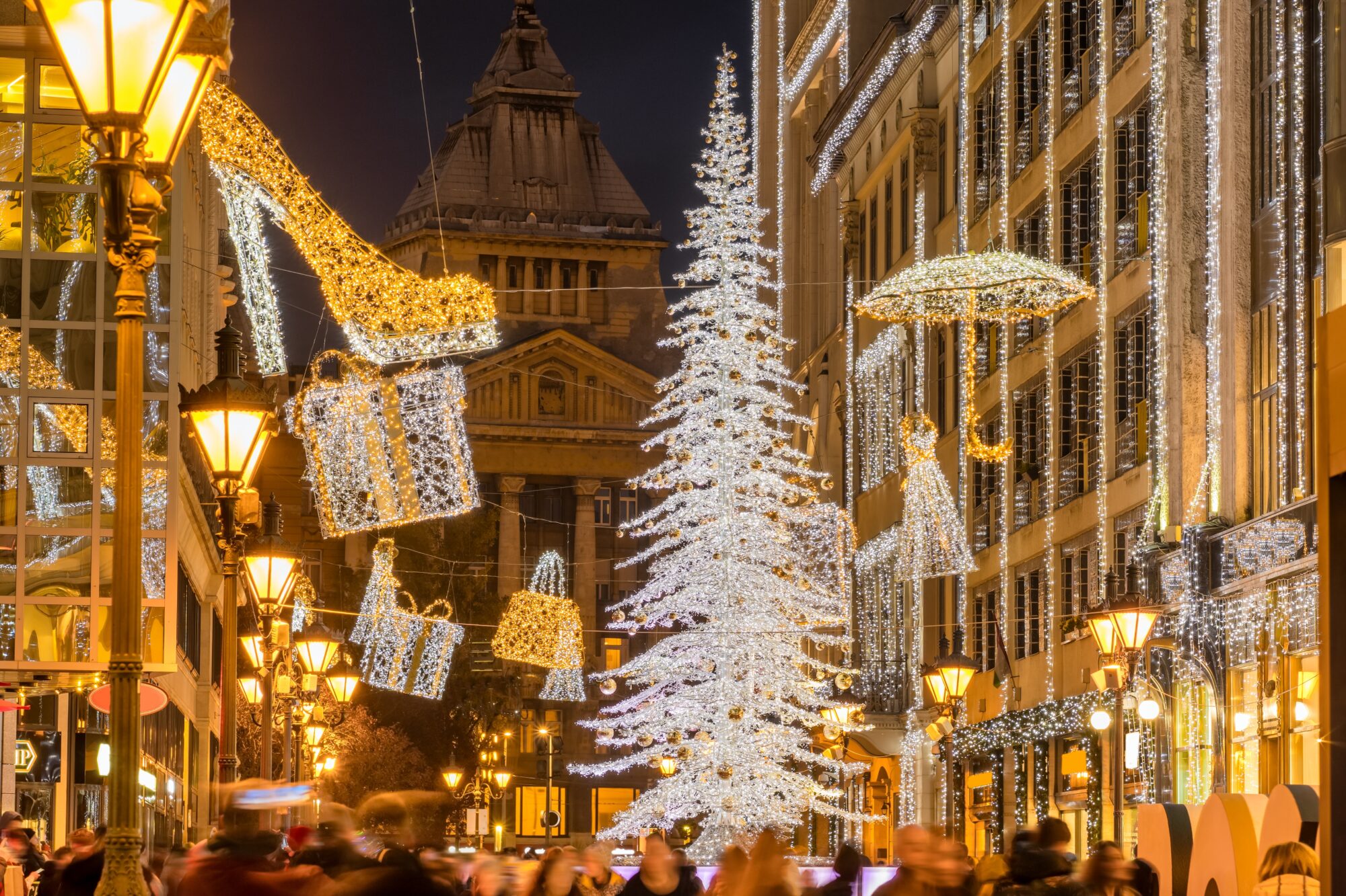 Beautiful,Christmas,Season,Street,Scene,With,Glowing,Christmas,Tree,,Lights, tour Christmas lights