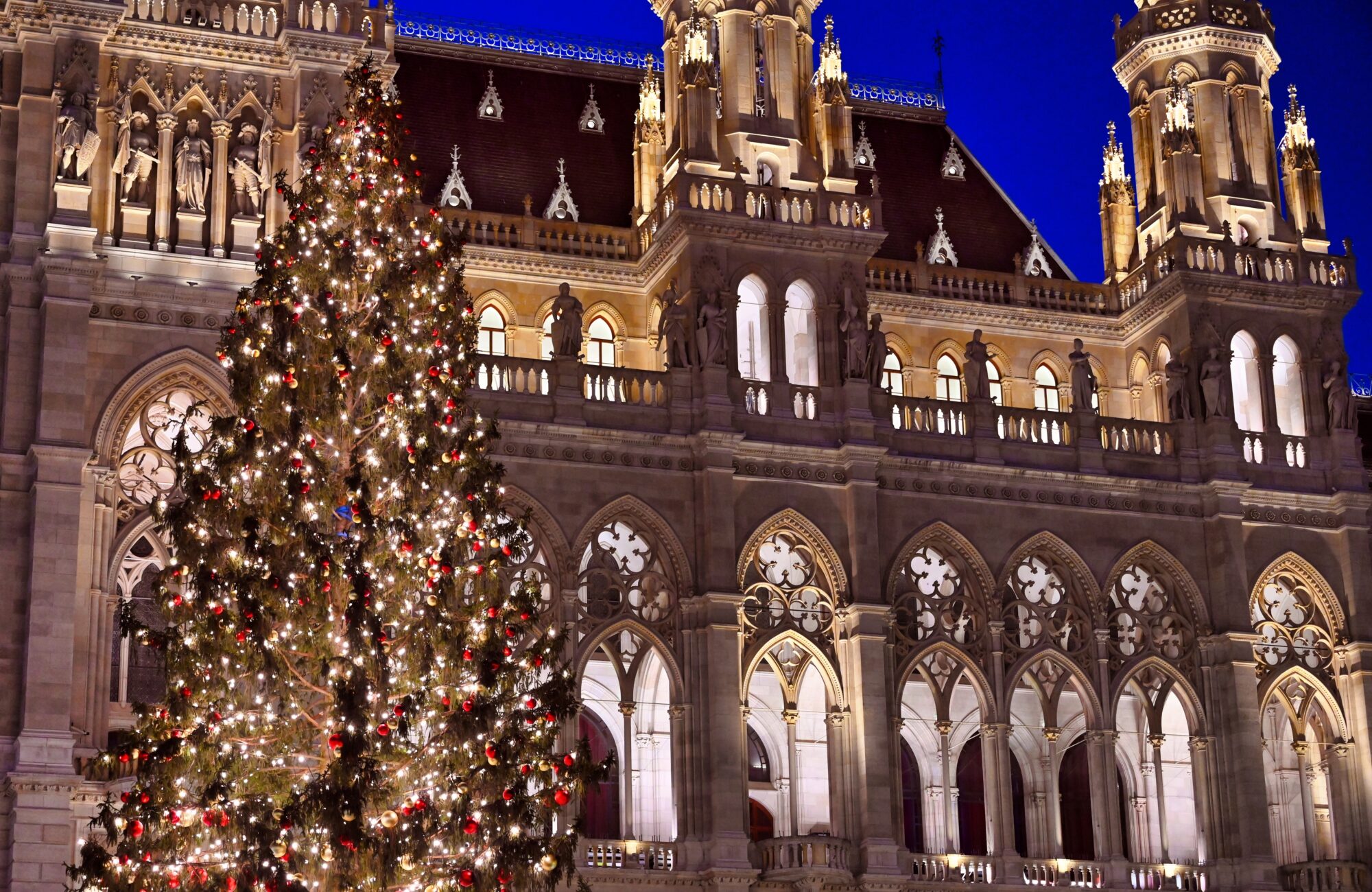 Christmas,Tree,In,Front,Of,Rathaus,,Vienna,,Austria tour 4 capitali