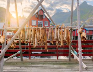 Tour in volo Lofoten
