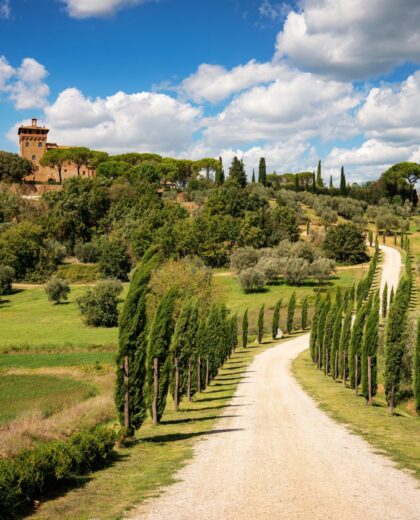 Pienza,,Tuscany,,Italy,,Tuscany,Landscape,,Cypress,Avenue,,Cypresses,,Winery,,Wine, tour pullman