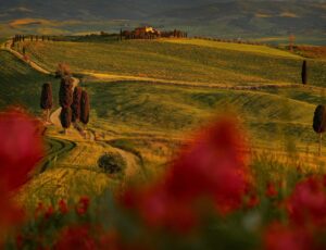 viaggi pullman organizzati