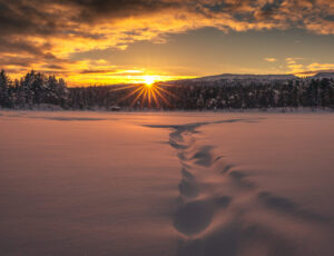 Typical,Landscapes,Of,Swedish,Lapland,In,Winter.,Beautiful,Snow,Covered viaggi culturali tour in lapponia
