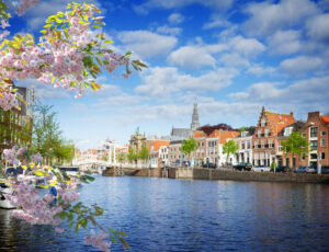 viaggi in pullman amsterdam