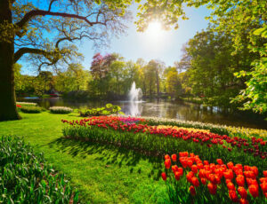 tour culturale amsterdam