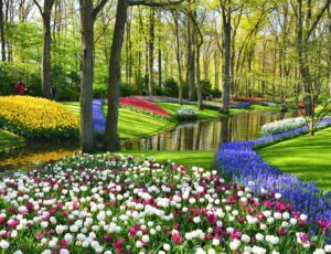 tour culturale amsterdam